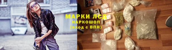 сатива Балахна