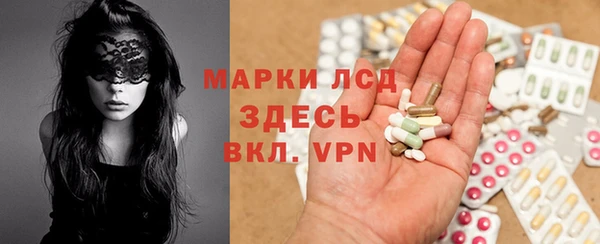 сатива Балахна