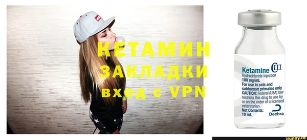 сатива Балахна