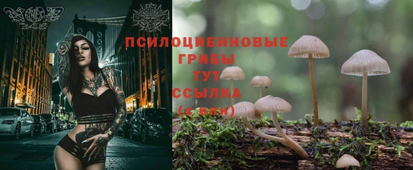 дмт Арсеньев