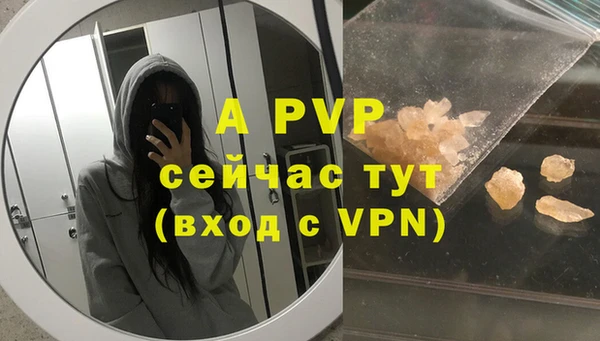 сатива Балахна
