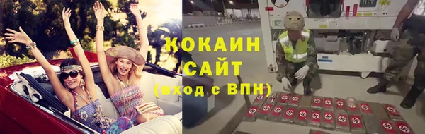 сатива Балахна