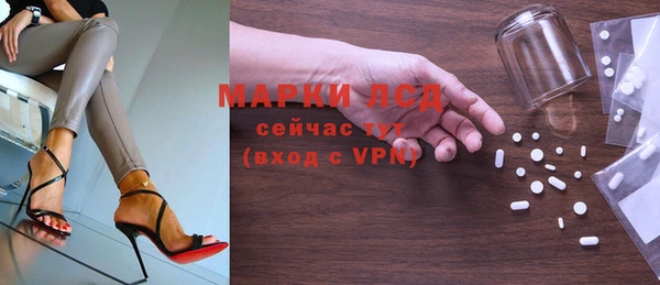 сатива Балахна